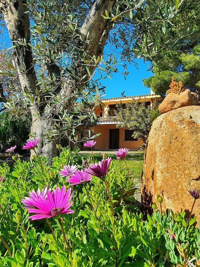 Villa Alice Apartments Orosei Exterior foto