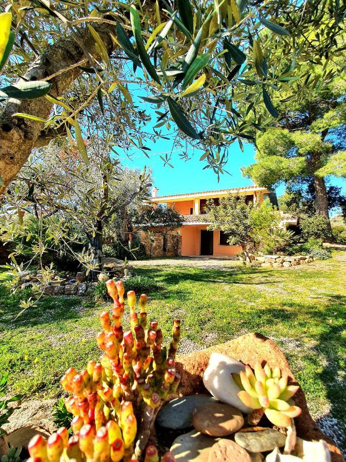 Villa Alice Apartments Orosei Exterior foto