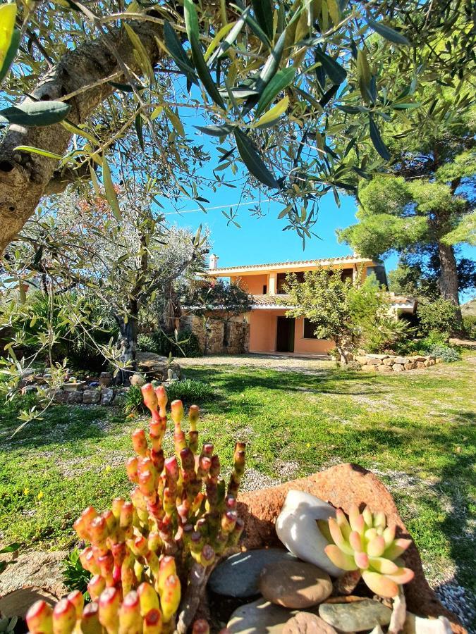 Villa Alice Apartments Orosei Exterior foto